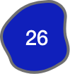 26
